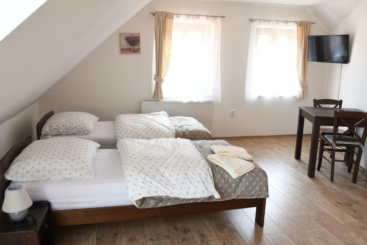 Penzion-Apartman Soucek Jindřichŭv Hradec Zewnętrze zdjęcie